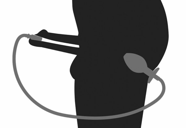 Penisplug Piss to Ass Plug – Bild 7