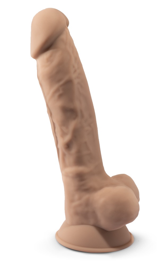 SILEXD Model 1 – Bild 2