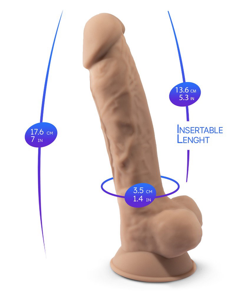 SILEXD Model 1 – Bild 6