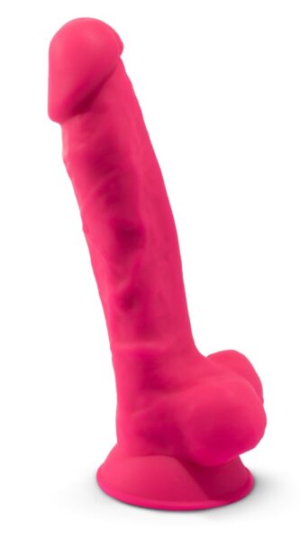 Alternative view of SILEXD Model 1