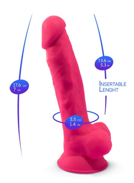 SILEXD Model 1 – Bild 6