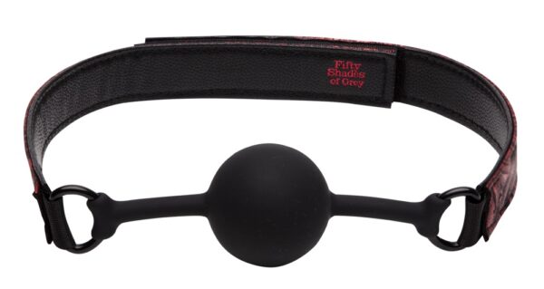 Fifty Shades of Grey Sweet Anticipation Ball Gag – Bild 3