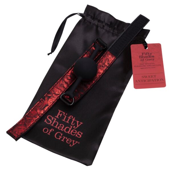 Fifty Shades of Grey Sweet Anticipation Ball Gag – Bild 5