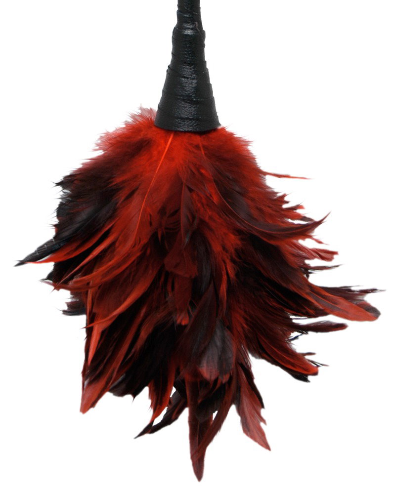 Alternative view of Fetish Fantasy Series Frisky Feather Duster
