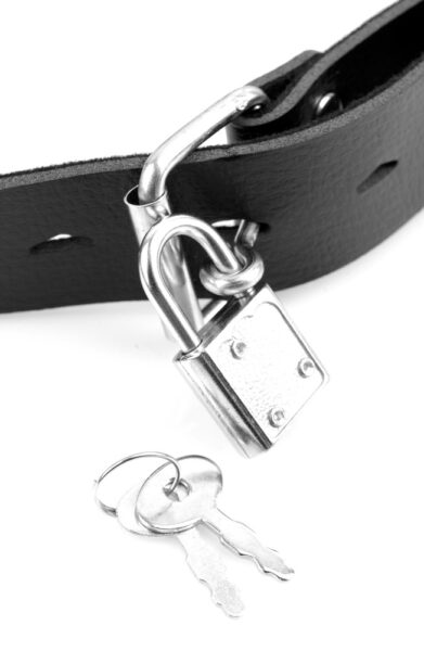 Fetish Fantasy Series Deluxe Ball Gag with Dildo – Bild 5