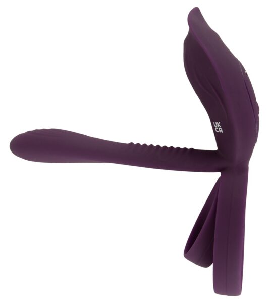 Couples Choice RC Couple‘s Vibrator 2 – Bild 3