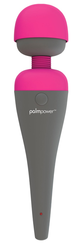 Alternative view of palmpower massager