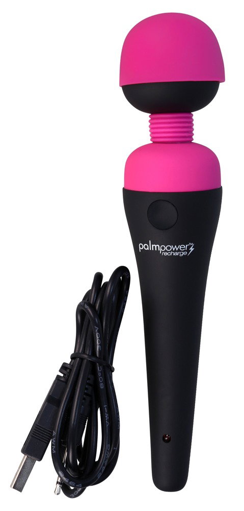 Alternative view of palmpower recharge