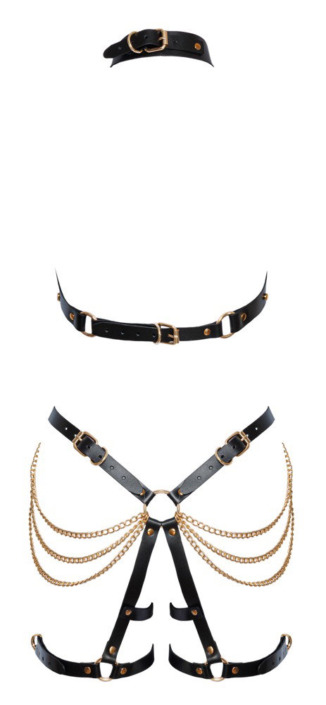 ZADO Harness-Set – Bild 8