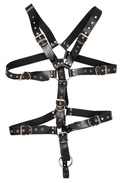 ZADO Harness – Bild 3