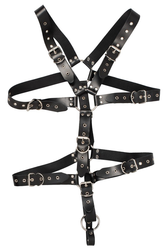 ZADO Harness – Bild 3