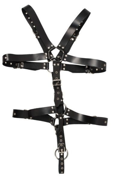 ZADO Harness – Bild 4