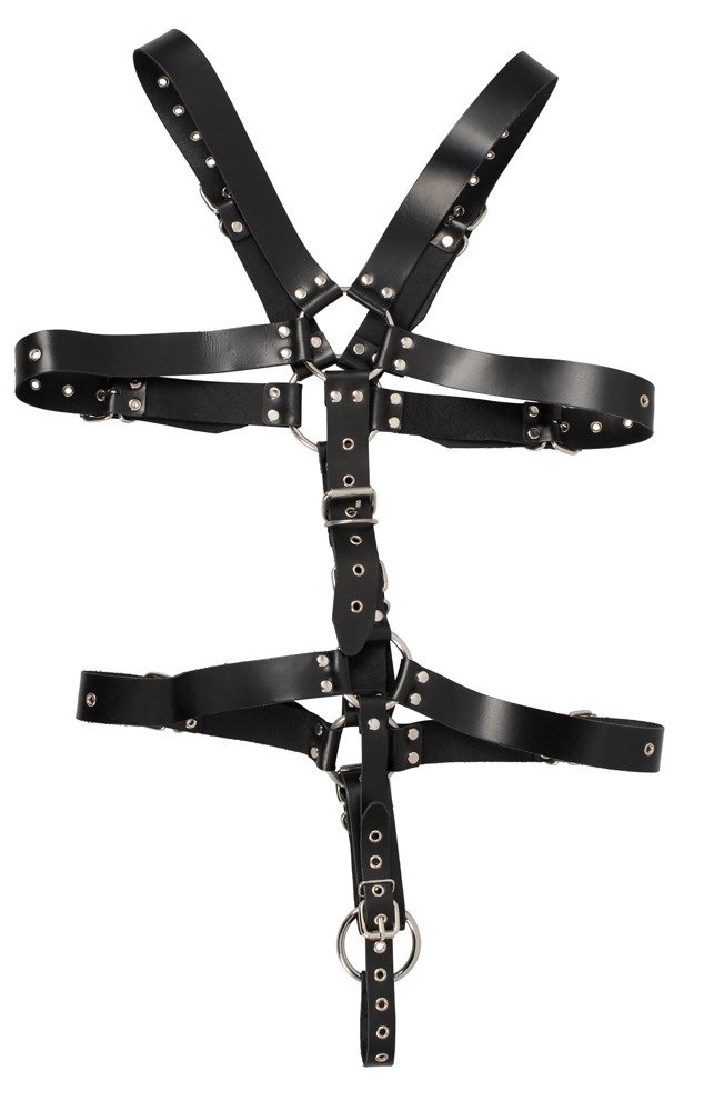ZADO Harness – Bild 4