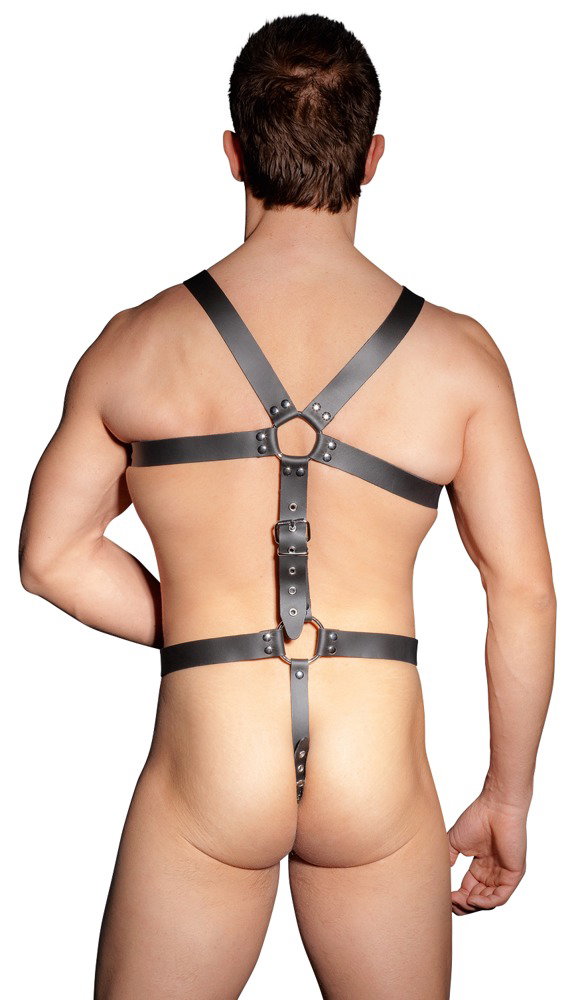 ZADO Harness – Bild 7