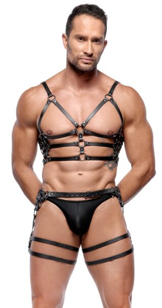 ZADO Harness-Set aus Leder – Bild 3