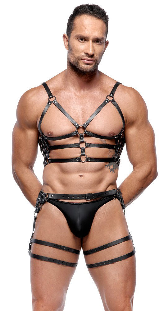 ZADO Harness-Set aus Leder – Bild 3