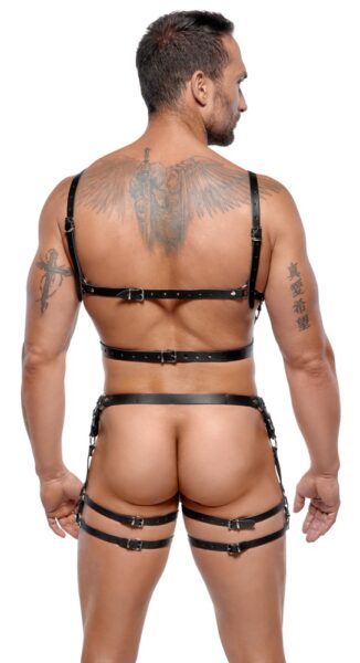 ZADO Harness-Set aus Leder – Bild 5