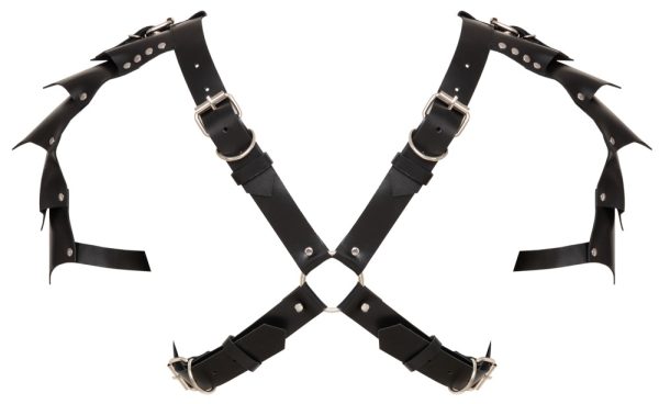 ZADO Harness aus Leder – Bild 8