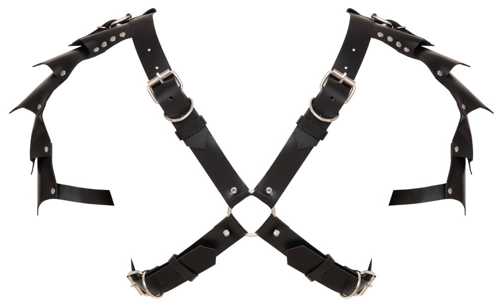 ZADO Harness aus Leder – Bild 8