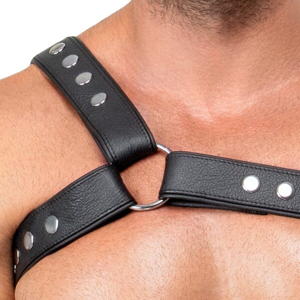 ZADO Brustharness aus Leder – Bild 6