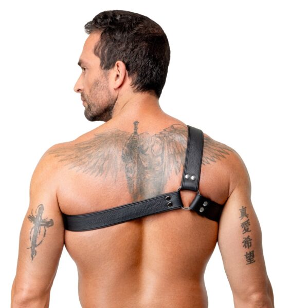 ZADO Brustharness aus Leder – Bild 5