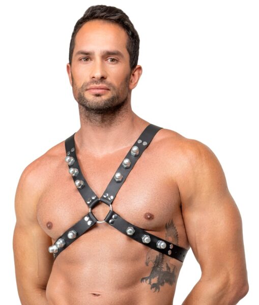 ZADO Brustharness aus Leder – Bild 3