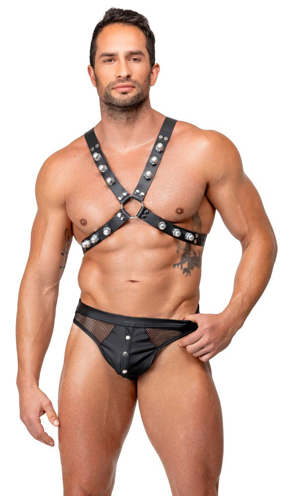 ZADO Brustharness aus Leder – Bild 4