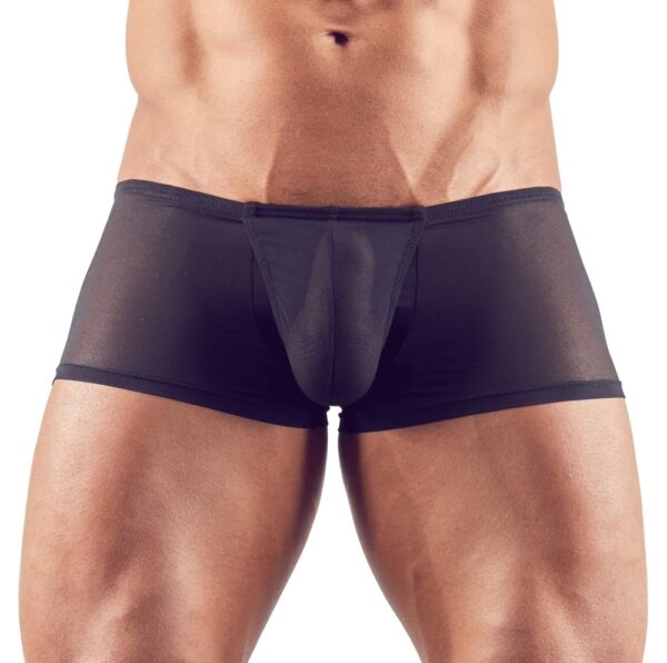 Alternative view of Svenjoyment Pants