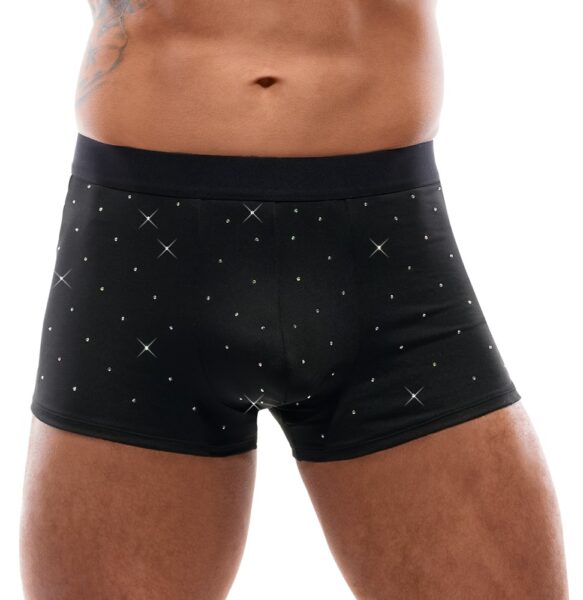 Alternative view of Svenjoyment Pants
