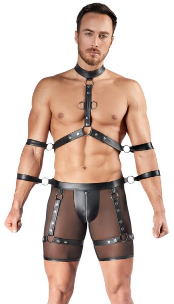 Alternative view of Svenjoyment Set