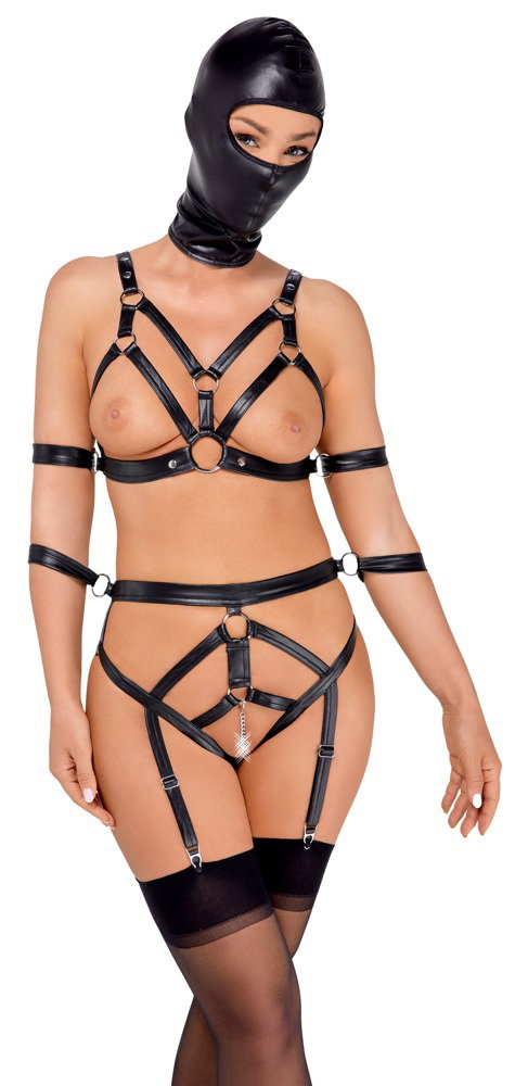Alternative view of Bad Kitty Set