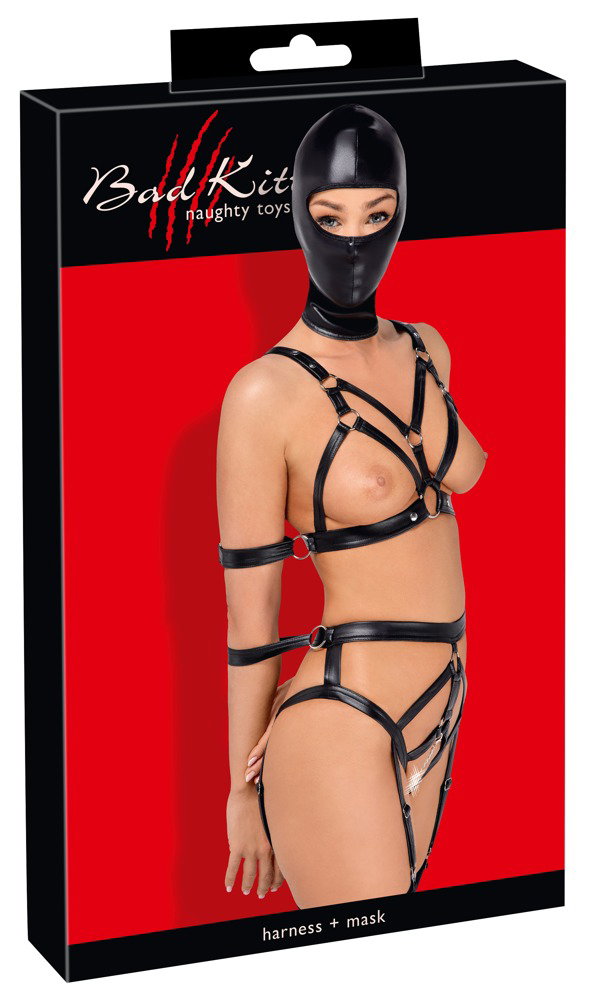 Bad Kitty Set