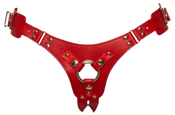 Bad Kitty Strap-on – Bild 4