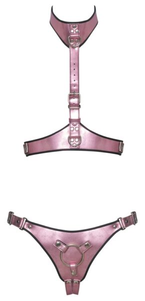 Bad Kitty Harness-Set – Bild 5
