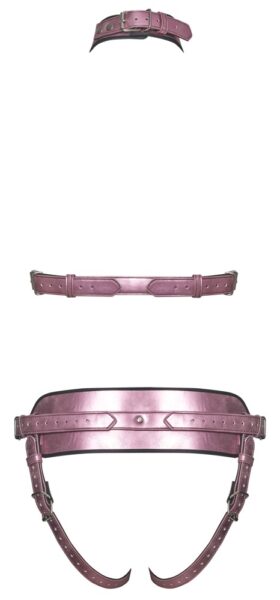Bad Kitty Harness-Set – Bild 6