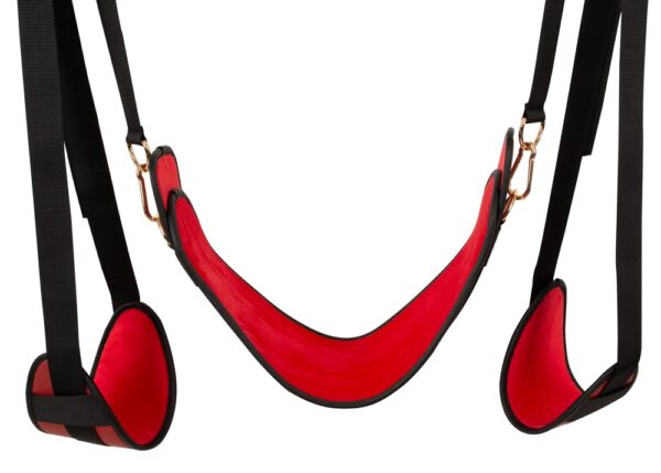 Bad Kitty Door Swing – Bild 4