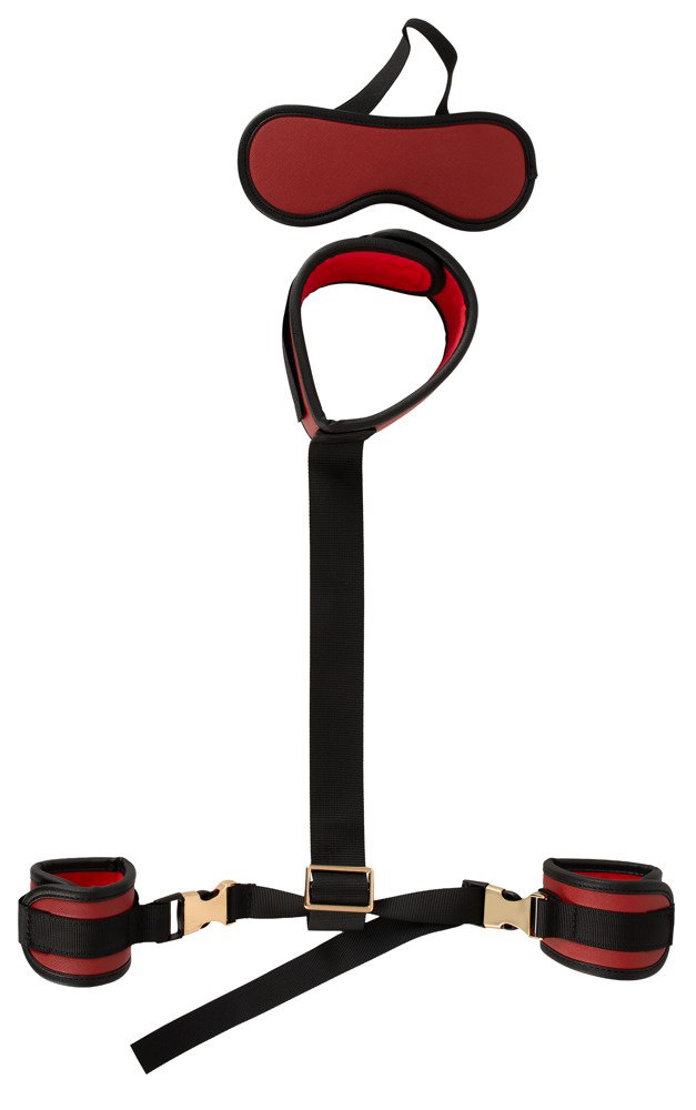 Bad Kitty Neck to Wrist Bondage Set – Bild 3