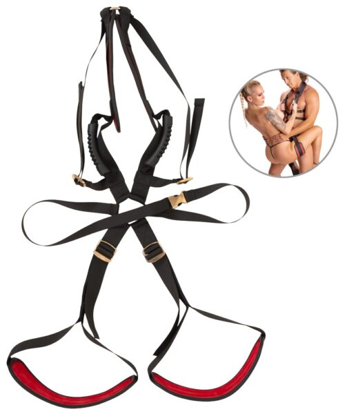 Alternative view of Bad Kitty Body Swing