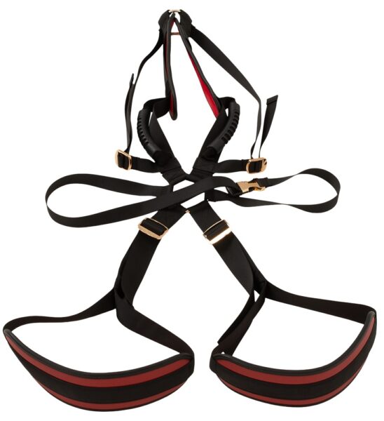 Bad Kitty Body Swing – Bild 3