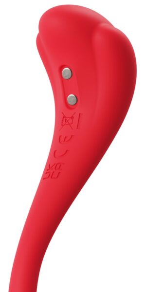 SVAKOM Phoenix Neo 2 – Bild 4