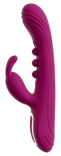 JAVIDA 2 Function Vibrator Squirting – Bild 4
