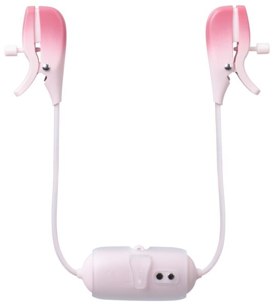 Lovense Gemini – Bild 5