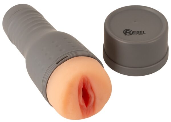 Alternative view of Rebel The V-Stroker Lucia