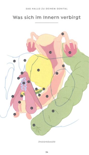 KOMMT GUT! 1001 Sex-Tipps und Illustrationen für mehr Oohs und Aahs – Bild 3