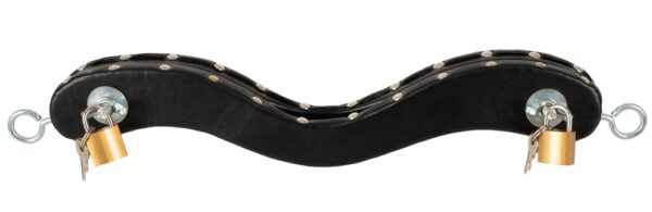 Alternative view of ZADO Humbler