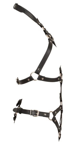 Bad Kitty Harness – Bild 8