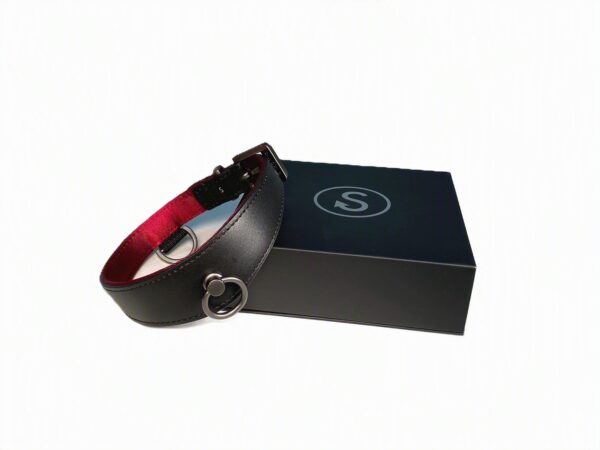 Black Swan Halsband S-World Black Red – Bild 2
