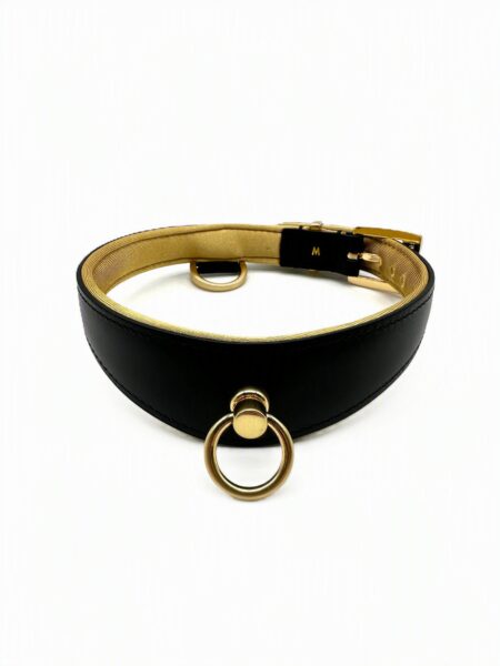 Black Swan Halsband Black Gold