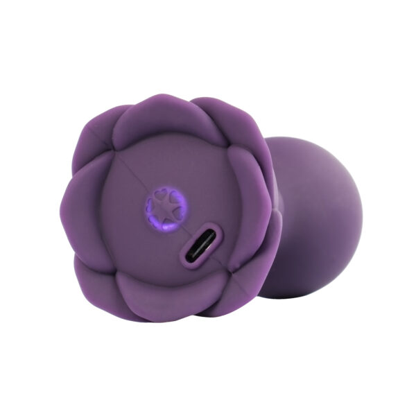 LOVISS Posy Garten Analplug mit Fernbedienung Lila – Bild 11