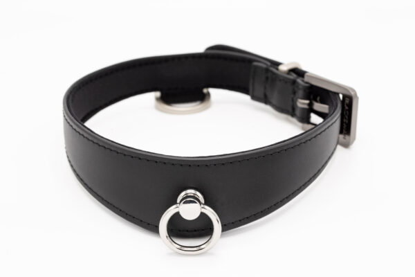 Alternative view of Black Swan Leine S-World Edition